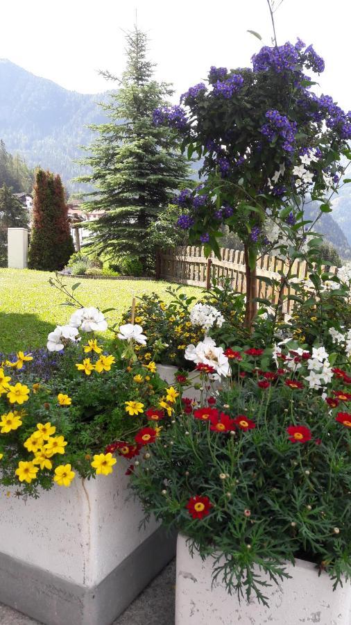 Bed and Breakfast Haus Edelweiss Jerzens Esterno foto